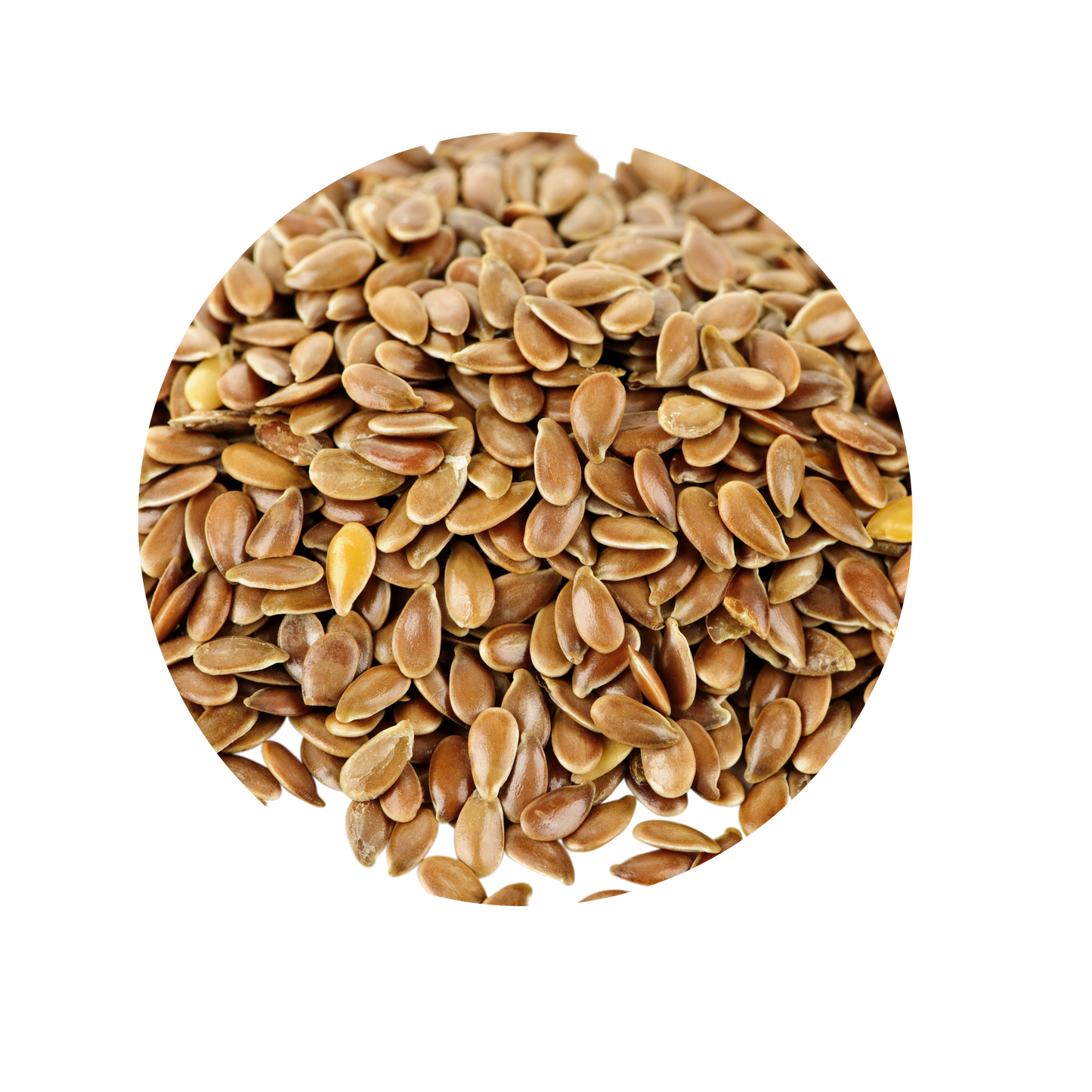Brown Flax Seed | Buy Flax Seeds Online | Alsi seeds | Flax Seeds for Weight Loss & Heart Health