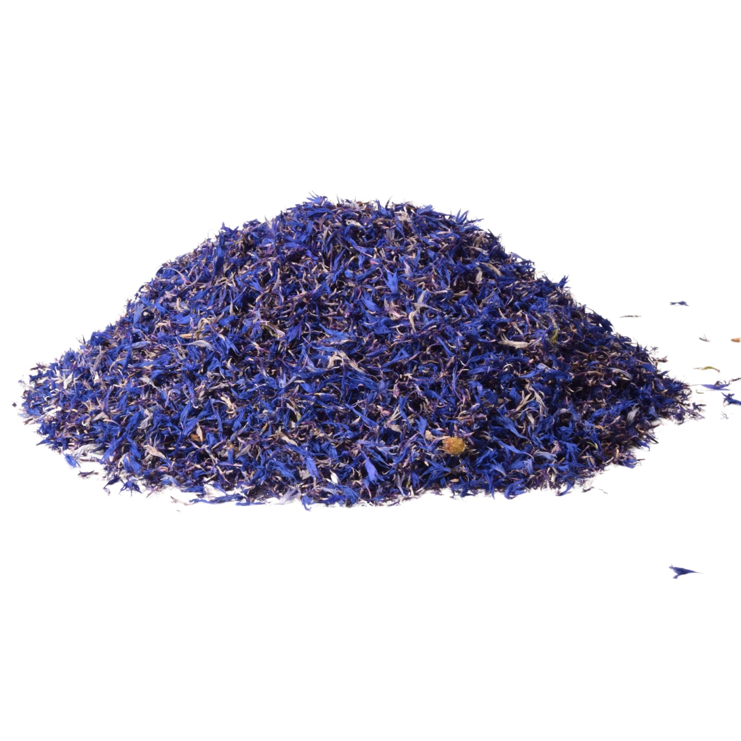 Dried Blue cornflower - Centaurea cyanus - Bachelor's button