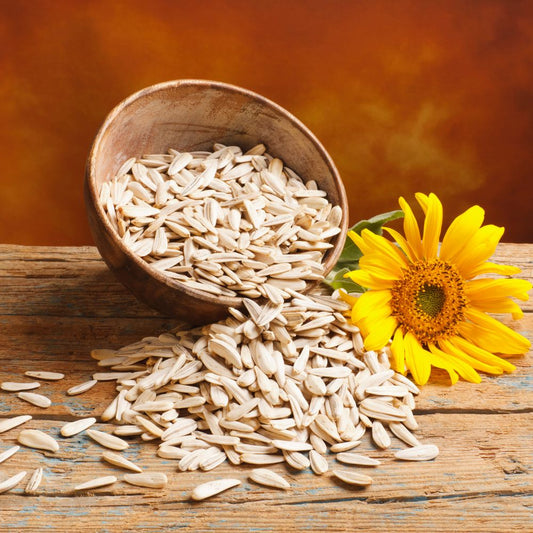 Buy Raw Sunflower Seeds (Peeled) | Sunflower Seed Kernels |  Peeled Sunflower Seeds | Bulk & Wholesale |