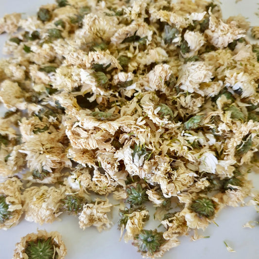 Chrysanthemum Flowers |  Chrysanthemum morifolium |  For Herbal Tea & Wellness