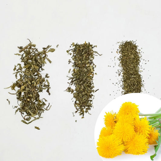 Dried Dendelion Leaves Coarse Cut / Tea Bag Cuts / TBC