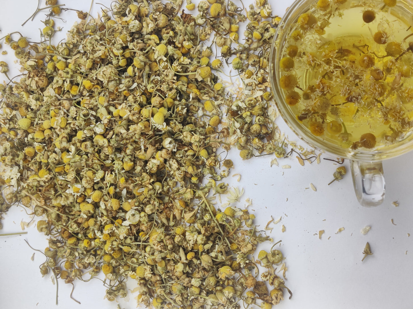 Chamomile Flower Seeds | Chamomile Tea Flower Seed | Babune Ka Phool | Matricaria chamomilla