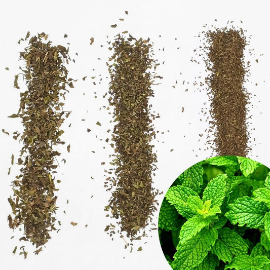 Peppermint Leaves / Mentha Piperita / Mint T-cut /TBC