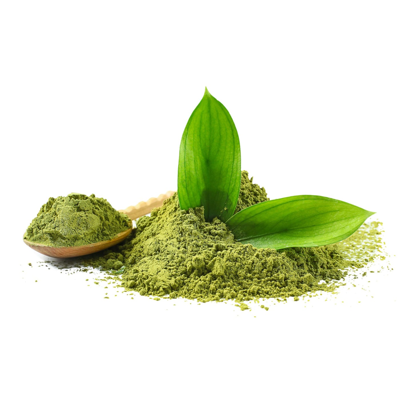 Pure Japanese Matcha Tea Culinary Grades | Premium Matcha Tea for Wellness, Focus & Energy