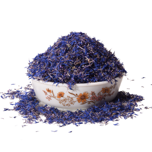 Dried Blue cornflower - Centaurea cyanus - Bachelor's button