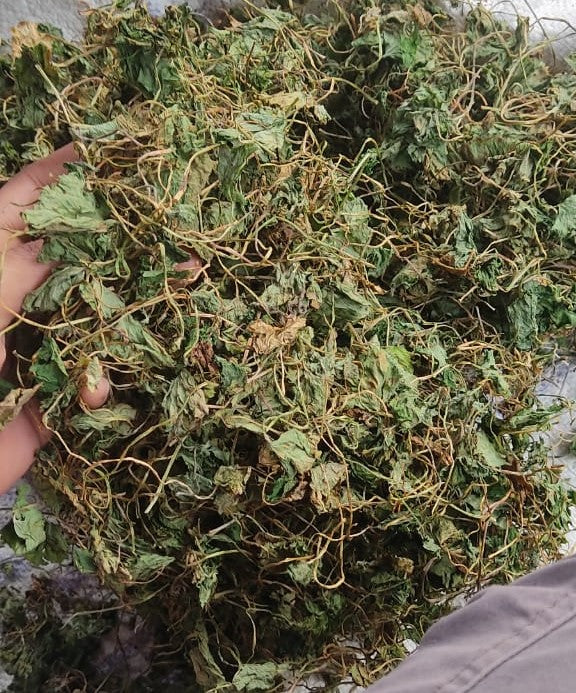 Brahmi | Mandukparni | Centella Asiatica Dried Leaves | Gotu Kola Dried Leaves