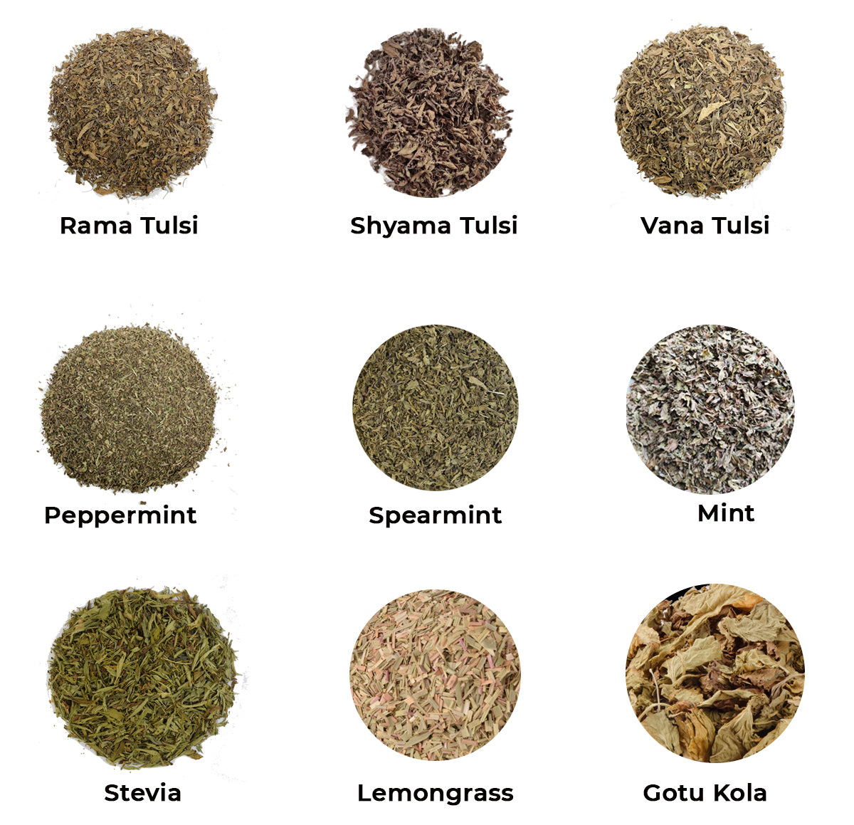 100g-100g Dried Herbs Combo | Combination for Herbs Rama, Shyama and Vana tulsi , Peppermint, Spearmint, Mint, Stevia Lemongrass & Centella Gotu kola herbs