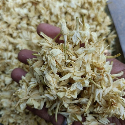Jasmine Flower (Dried) - Chameli Phool - Jasminum Sambac - Mogra Phool - Bela