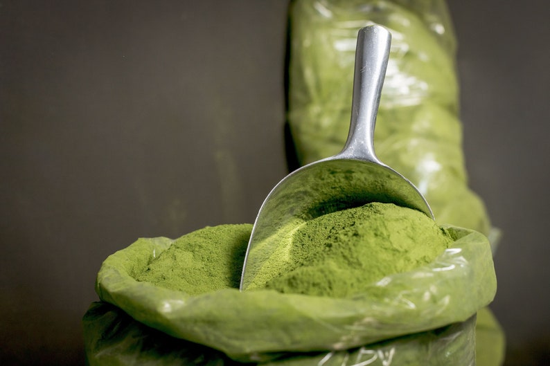 Moringa | Drum stick | Horseradish | Moringa Oleifera | Moringa Dried Leaves | Miracle Tree | Moringa Leaves Powder