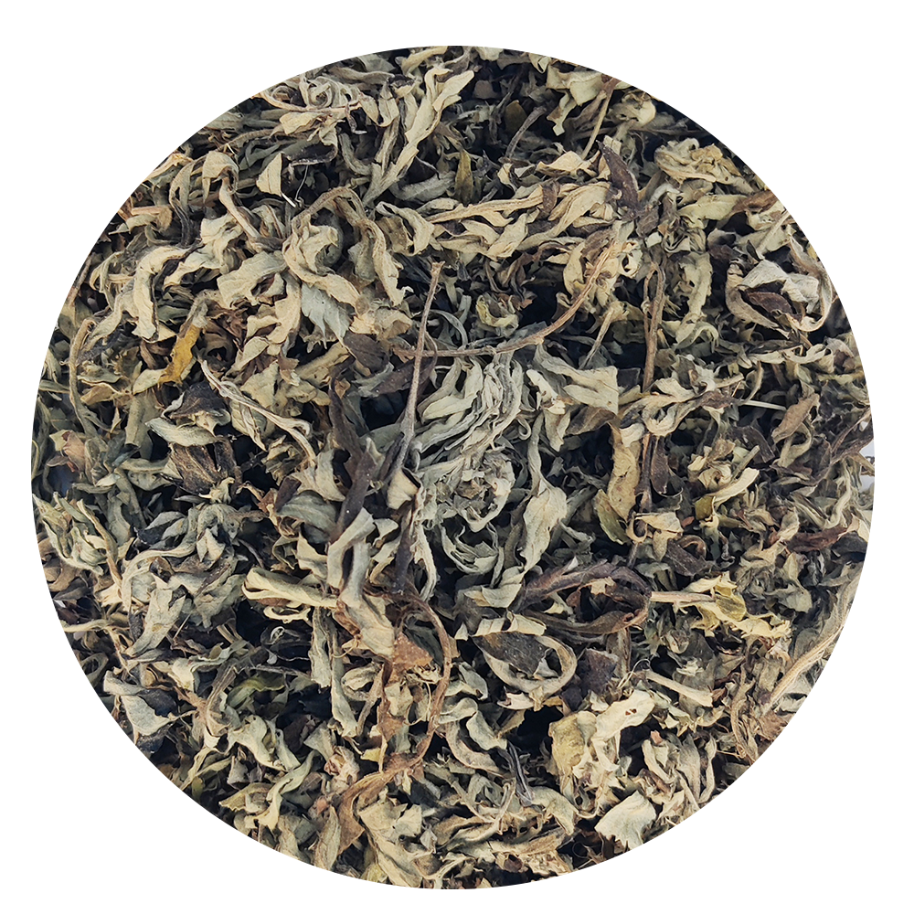 Himalayan Herbs Combo | 12 Dried Himalayan Herbs Combo