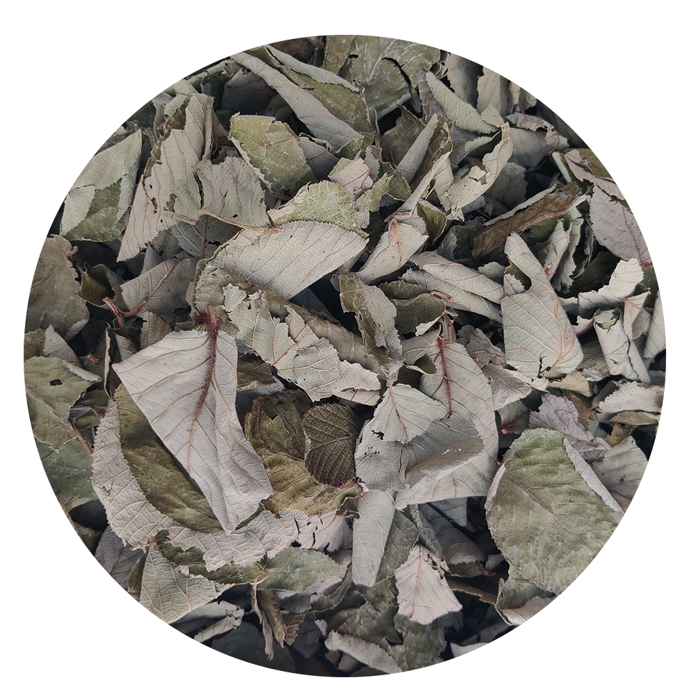 Himalayan Herbs Combo | 12 Dried Himalayan Herbs Combo
