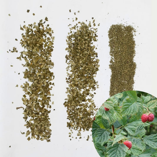 Dried Red Raspberry Leaves Coarse Cut / Tea Bag Cuts / TBC |Red Raspberry Leaf Tea | TBC for Women's Wellness