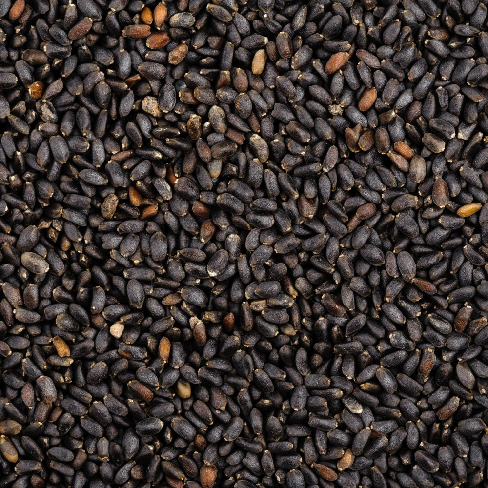 Sabza Seeds (Basil Seeds) | Health Benefits & Uses | Sweet Basil Seeds (Sabza) | Sabza Seeds for Falooda & Desserts