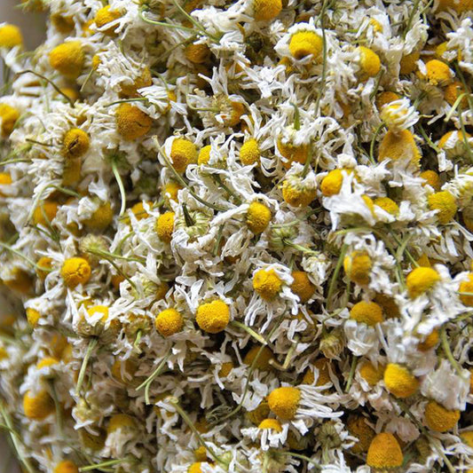Dried German Chamomile Flower | Chamomile Tea Flower | Babune Ka Phool | Matricaria chamomilla