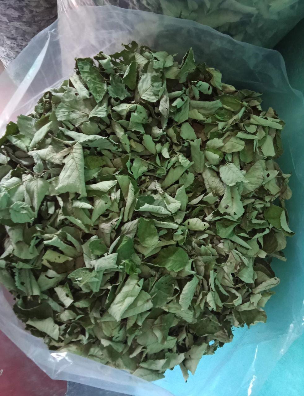 Himalayan Raspberry dried leaves | Wild Red Raspberry Leaves | rubus idaeus