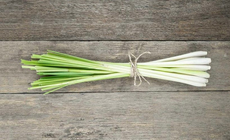 Lemongrass Leaves | Lemon Grass Dried Loose Leaves | West Indian Lemon Grass - Citronella
