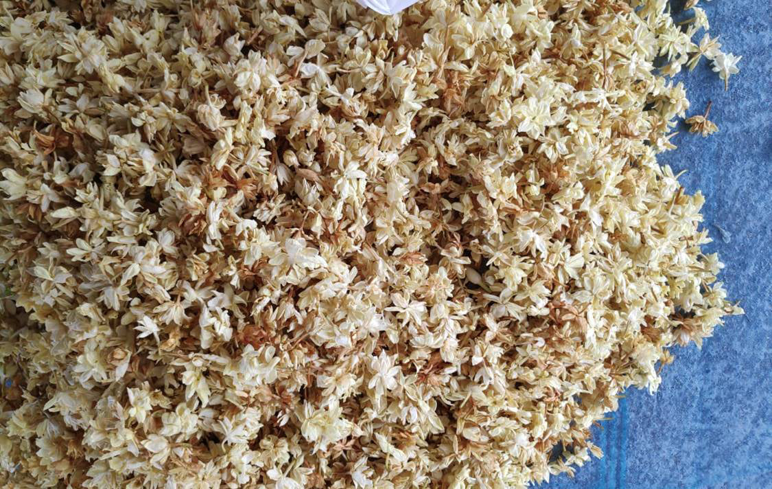 Jasmine Flower (Dried) - Chameli Phool - Jasminum Sambac - Mogra Phool - Bela