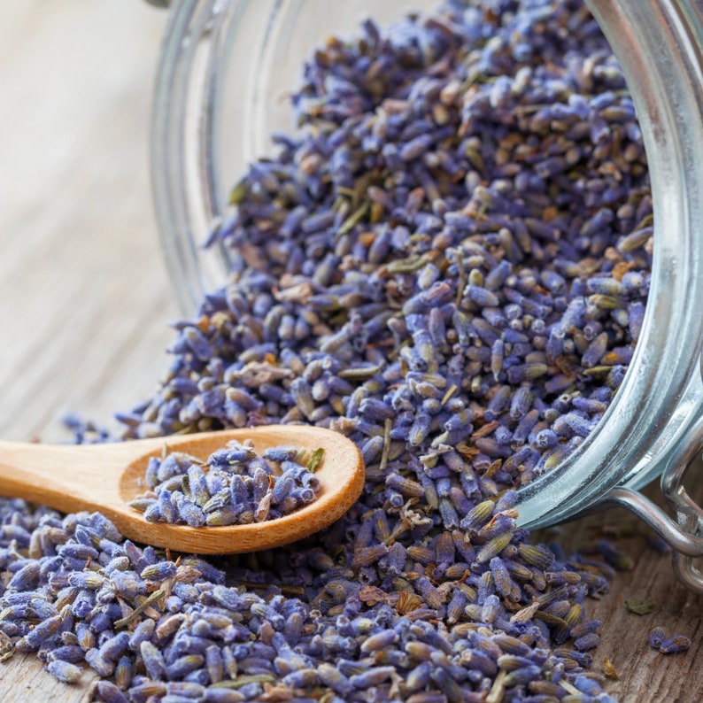 Indian Kashmiri Lavender Flowers , Dried Lavender Buds, wholesale (Lavandula angustifolia)