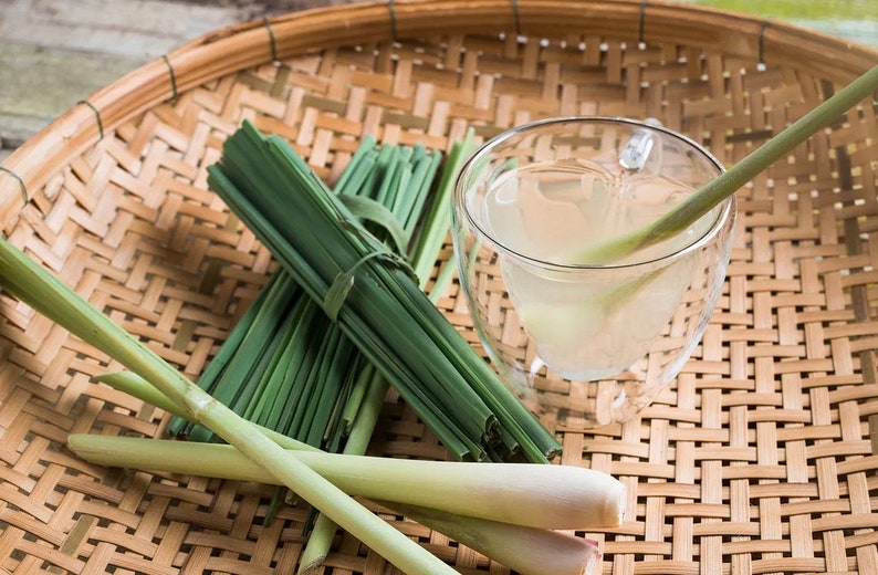 Lemongrass Leaves | Lemon Grass Dried Loose Leaves | West Indian Lemon Grass - Citronella