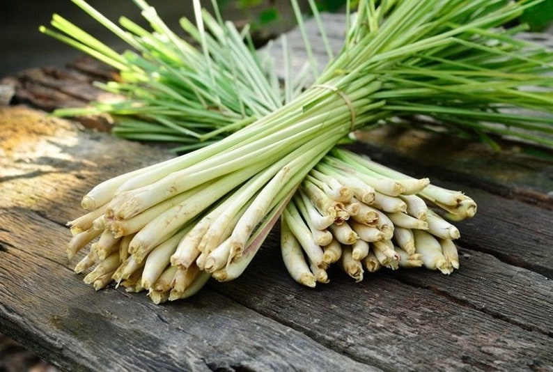 Lemongrass Leaves | Lemon Grass Dried Loose Leaves | West Indian Lemon Grass - Citronella