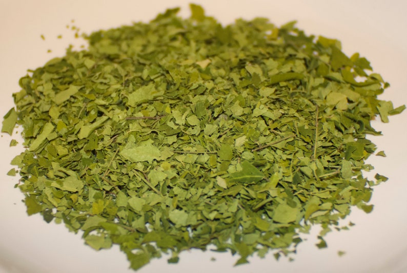 Moringa leaves Dried | Moringa Superfood Tisane | Loose Leaf Moringa Tea, Herbal Tea