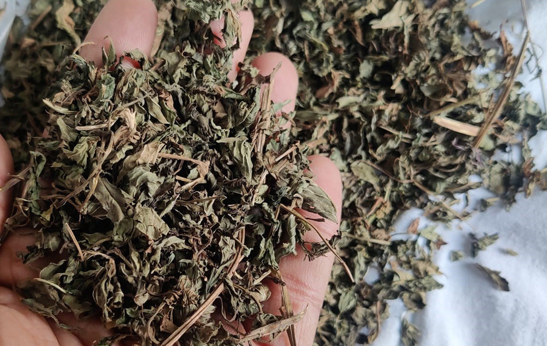 100g-100g Dried Herbs Combo | Combination for Herbs Rama, Shyama and Vana tulsi , Peppermint, Spearmint, Mint, Stevia Lemongrass & Centella Gotu kola herbs