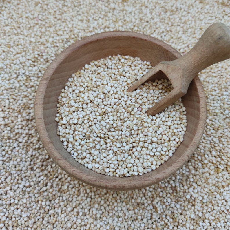 White Quinoa Seeds - Chenopodium Quinoa - Superfood With High Protein 100% Natural (Gluten free)