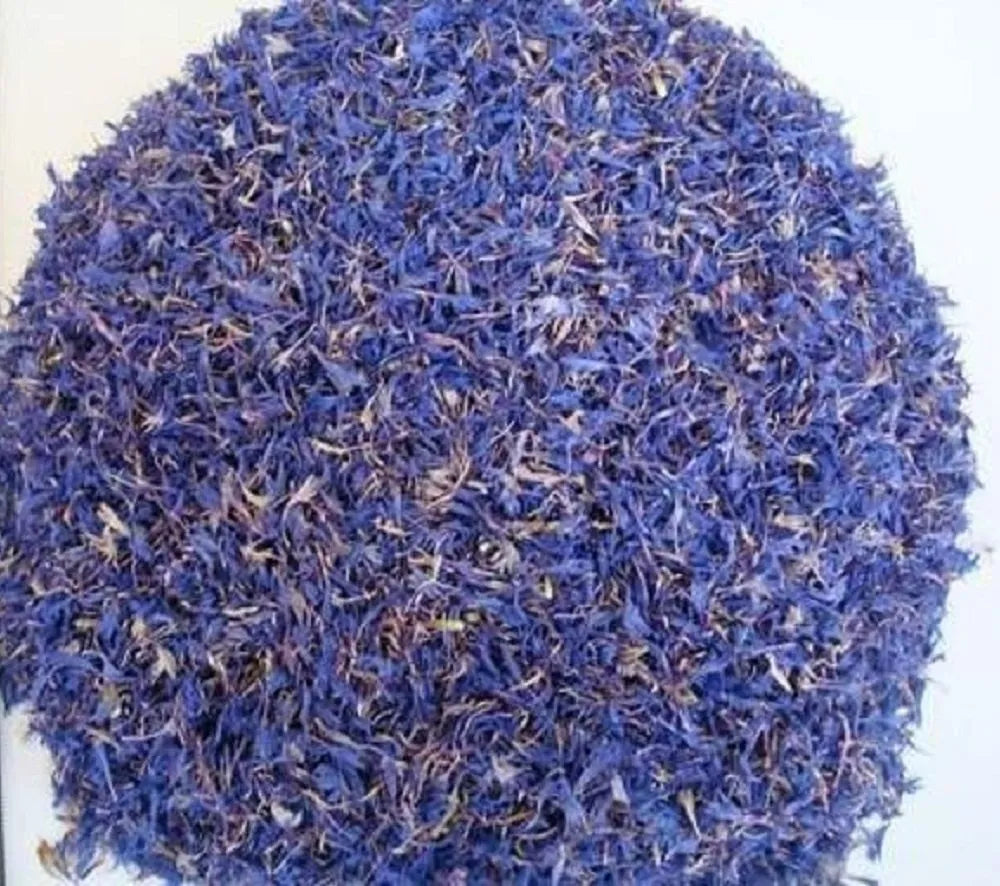 Dried Blue cornflower - Centaurea cyanus - Bachelor's button