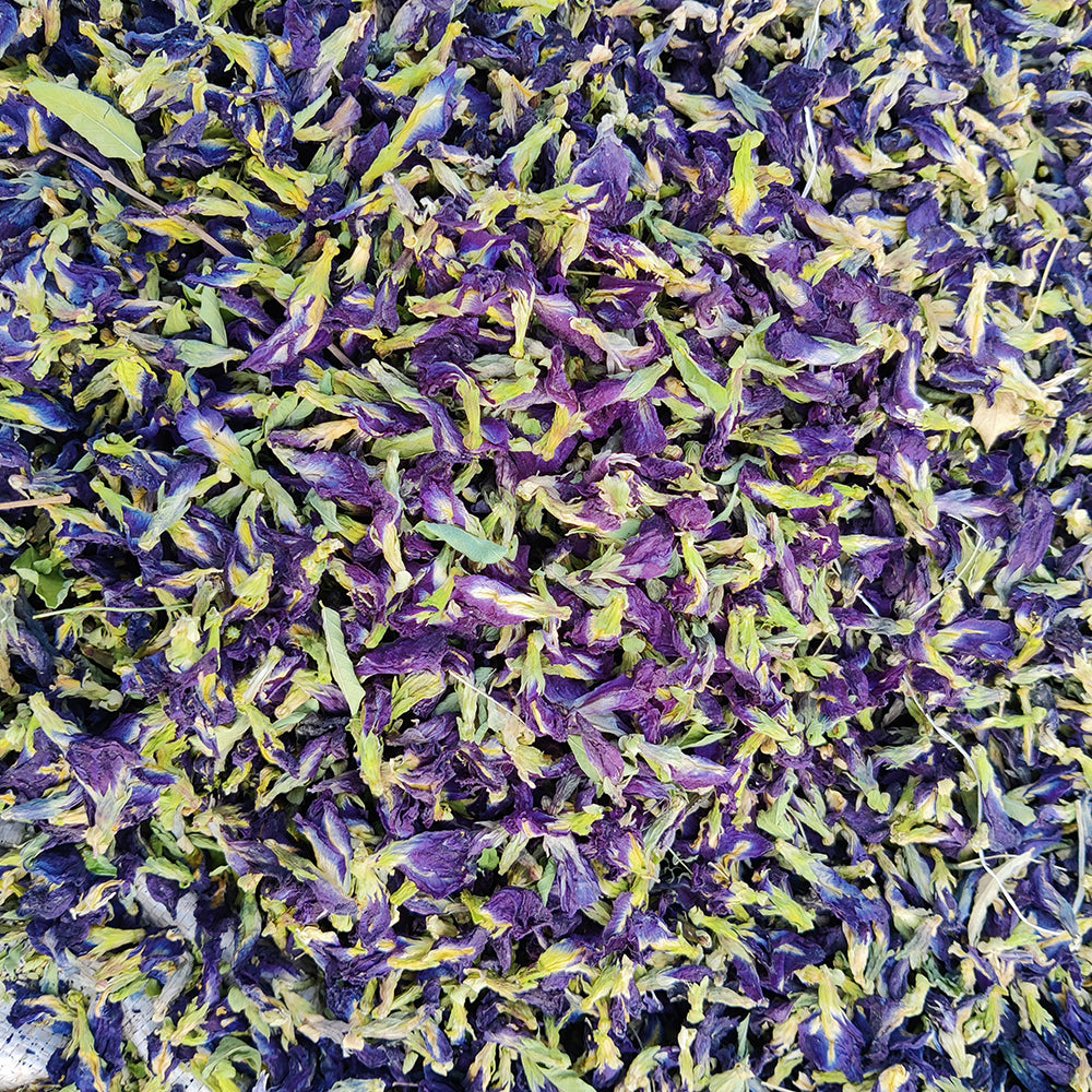 Butterfly Blue Pea Flower (Dried) | Blue Tea | Aprajita Phool - Shankhpushpi Flower - Clitoria Ternatea