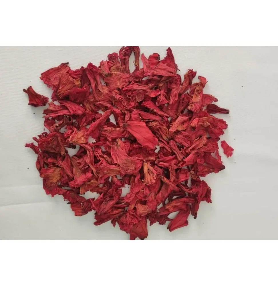 Dried Himalayan Rhododendron Flower | Roza azalea Flower Dried | Buransh Flower