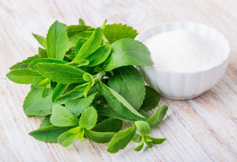 Dried Stevia Sweetleaf Herb | Stevia Leaves Dried | Natural Sweetner Leaves
