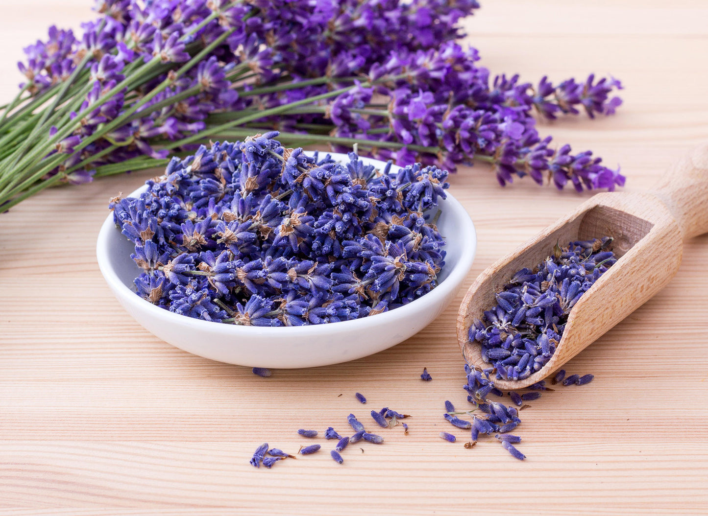 Indian Kashmiri Lavender Flowers , Dried Lavender Buds, wholesale (Lavandula angustifolia)