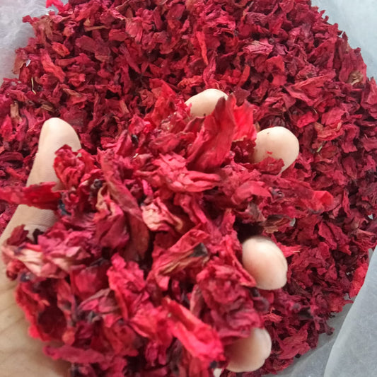 Dried Himalayan Rhododendron Flower | Roza azalea Flower Dried | Buransh Flower