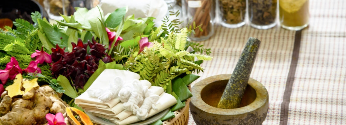 How Ayurveda Blessed Human Life in Form of Dry Flowers and Herbs ?