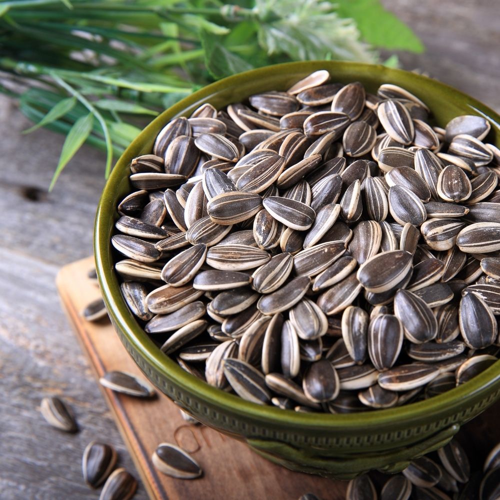 Sunflower Seeds for Your Garden | Organic Sunflower Seeds for Gardening | Giant Variety Easy to Grow