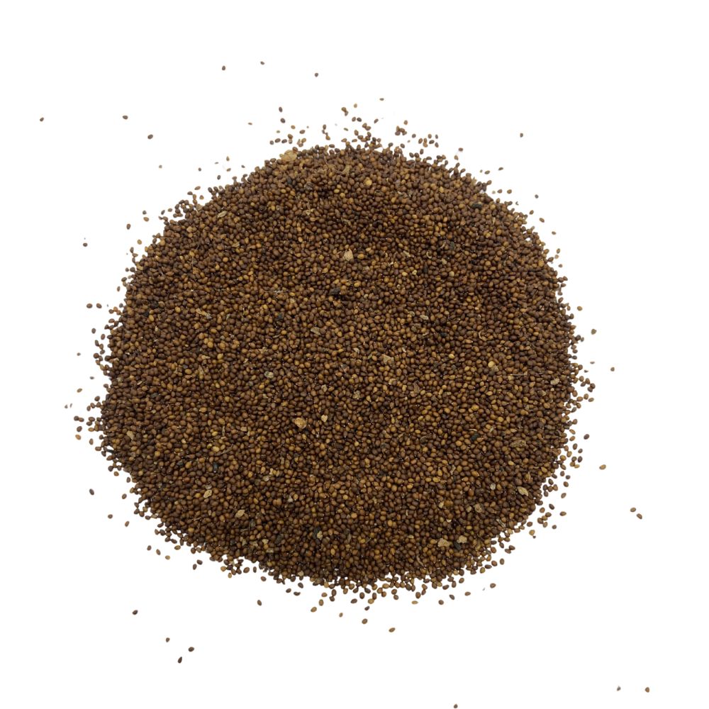 Rama Tulsi Seeds for Home Garden | Holy Basil Buy Rama Tulsi Seeds Online | For Spiritual & Wellness Gardens