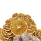 Premium Dried Orange Slices | Natural Dehydrated Orange Wheels for Tea, Cocktails & Decoration