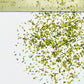 Tea Bag Cut Moringa leaves Dried | Moringa Superfood Tisane | Dried Moringa Leaves Tea Cut, Herbal Tea