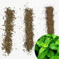 Dried Peppermint Leaves ( Mentha Pipreta) Coarse Cut / Tea Bag Cuts / TBC |Mentha Pipreta Leaves for Tea | Natural & Cooling