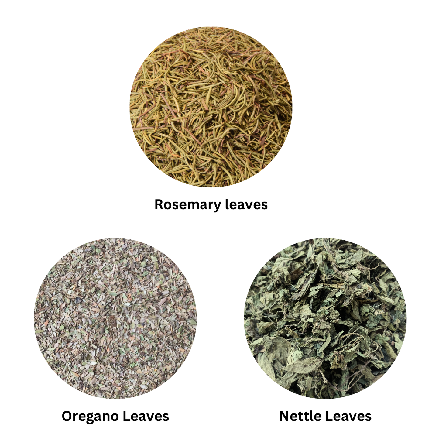 100-100gram Himalayan Herbs Combo  3 Herbs 100gram each