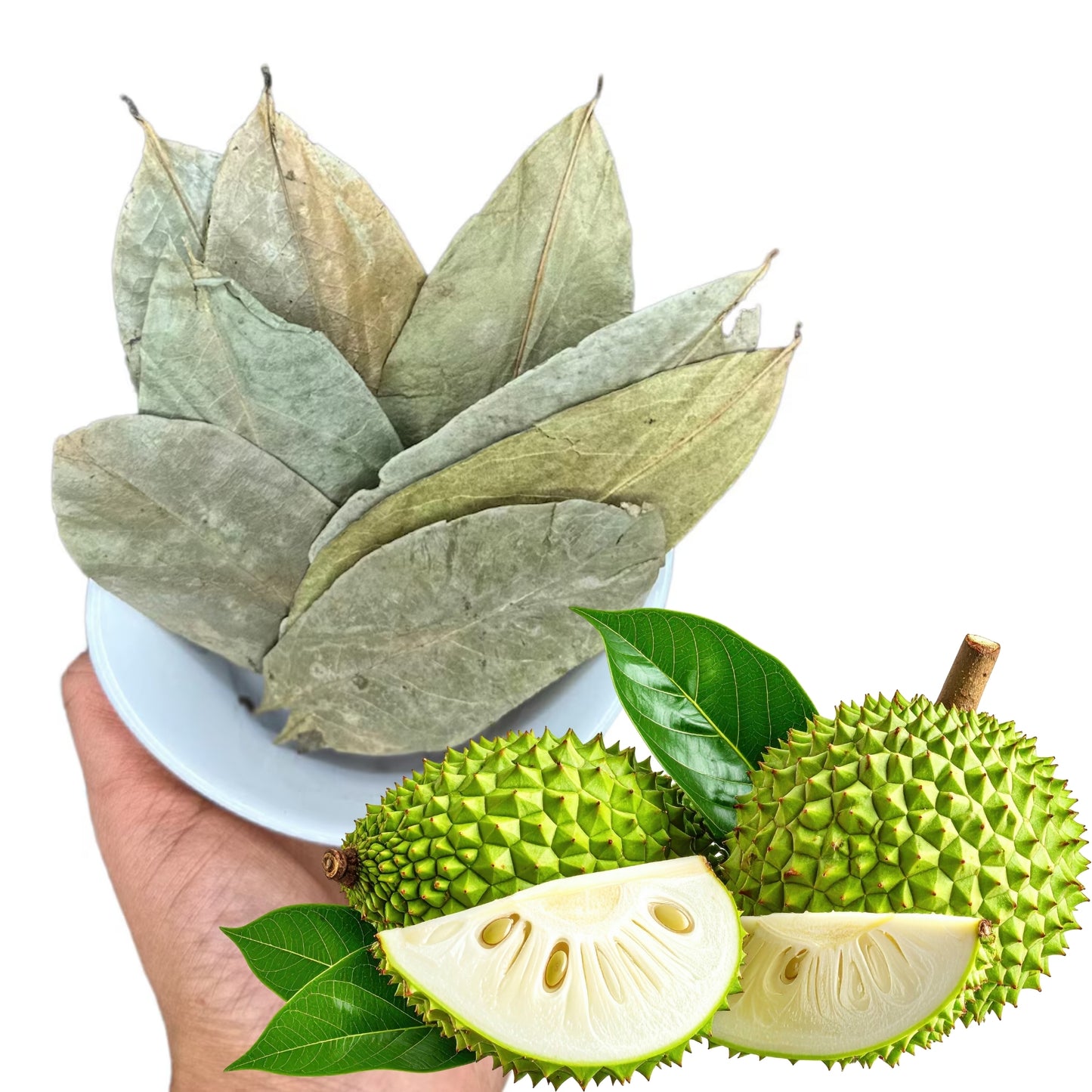 Organic  Soursop Leaves – Natural Antioxidant-Rich Herbal Tea