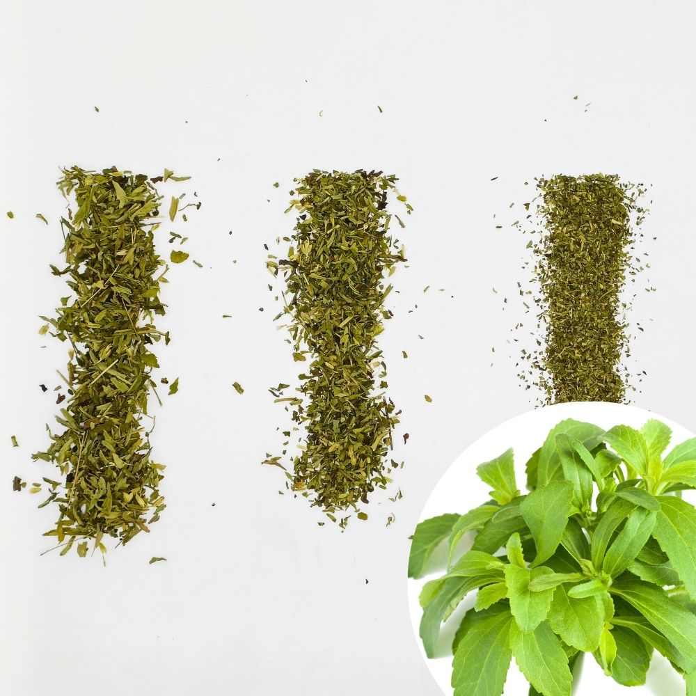 Dried Stevia Leaves / Meethi Tulsi Cut Size | Tea Bag and TBC
