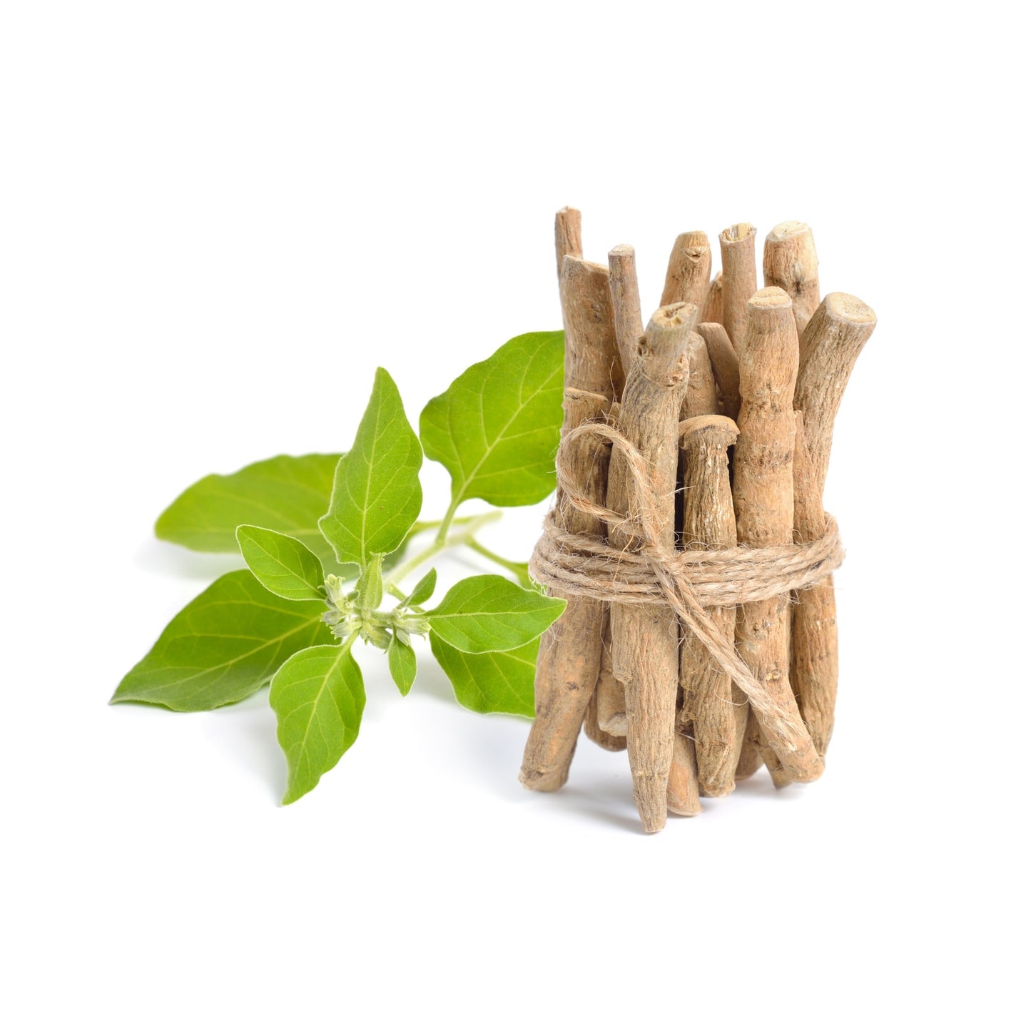 Premium Ashwagandha Root Powder