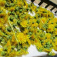 Himalayan Dried Dandelion Flowers - Taraxacum officinale