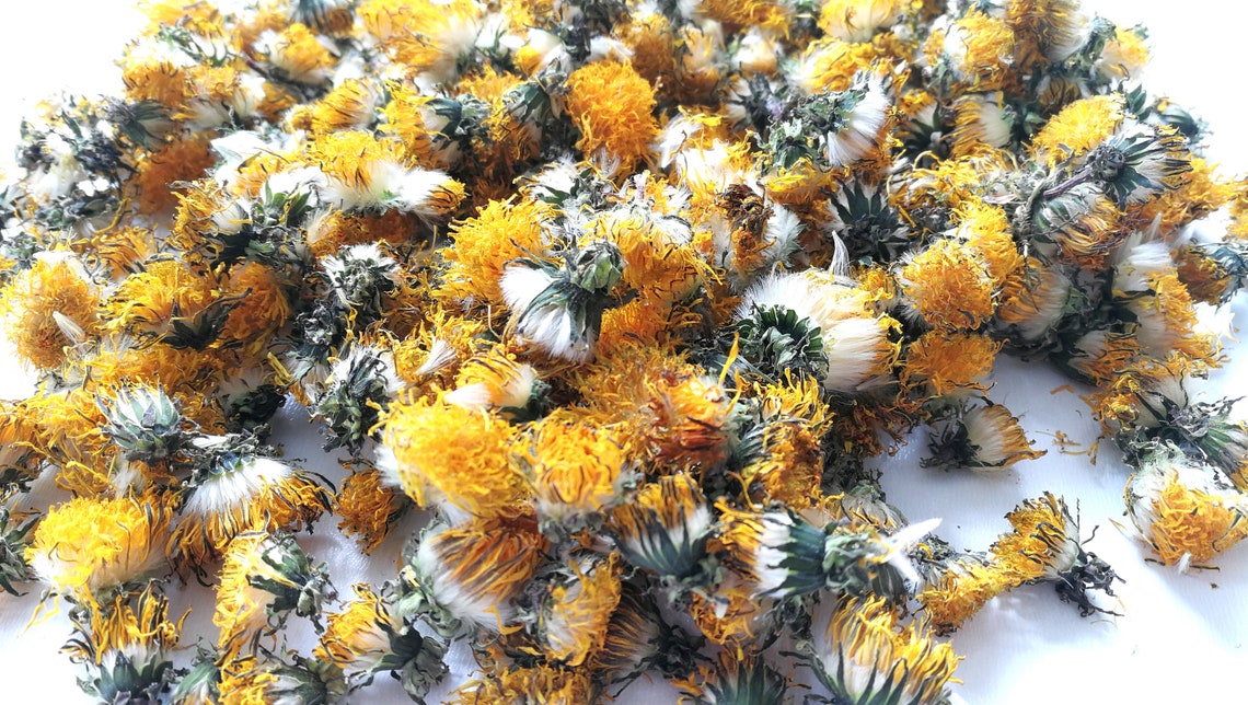 Himalayan Dried Dandelion Flowers - Taraxacum officinale