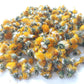 Himalayan Dried Dandelion Flowers - Taraxacum officinale