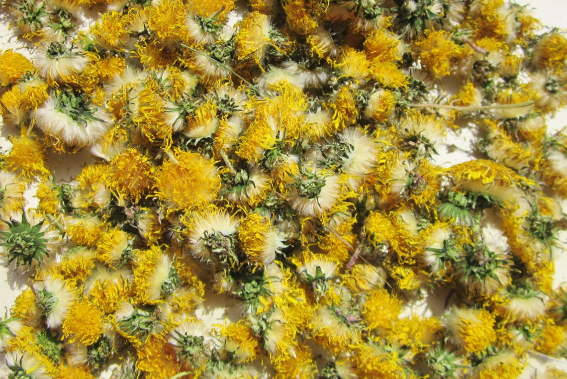 Himalayan Dried Dandelion Flowers - Taraxacum officinale