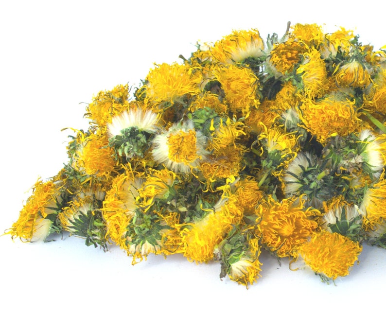 Himalayan Dried Dandelion Flowers - Taraxacum officinale