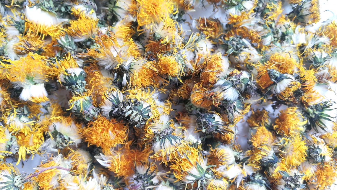 Himalayan Dried Dandelion Flowers - Taraxacum officinale