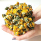 Himalayan Dried Dandelion Flowers - Taraxacum officinale